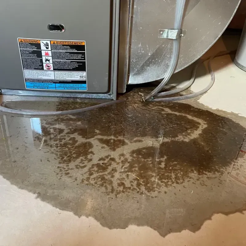 Appliance Leak Cleanup in Banner Elk, NC